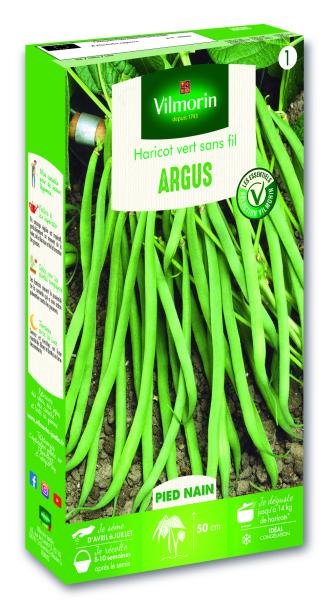 Légumes Secs - Haricot Nain Vert Argus - PACKAGING_3D_RECTO